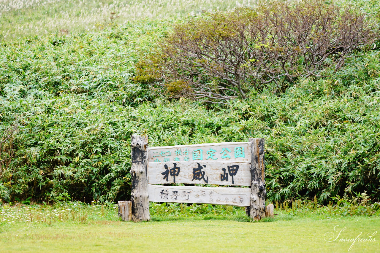 北海道積丹町・鰊漁で栄えた町の趣を現代に！『もっこ de ピクニック 第1弾』～ 主催：澗 Hiroma and 鰊伝習館ヤマシメ番屋